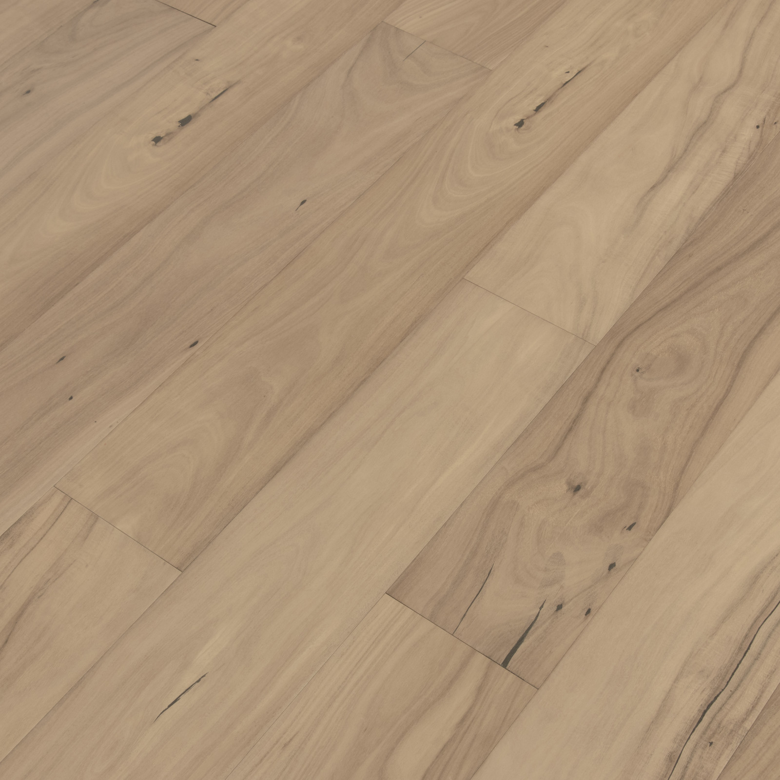 Clarified Acacia