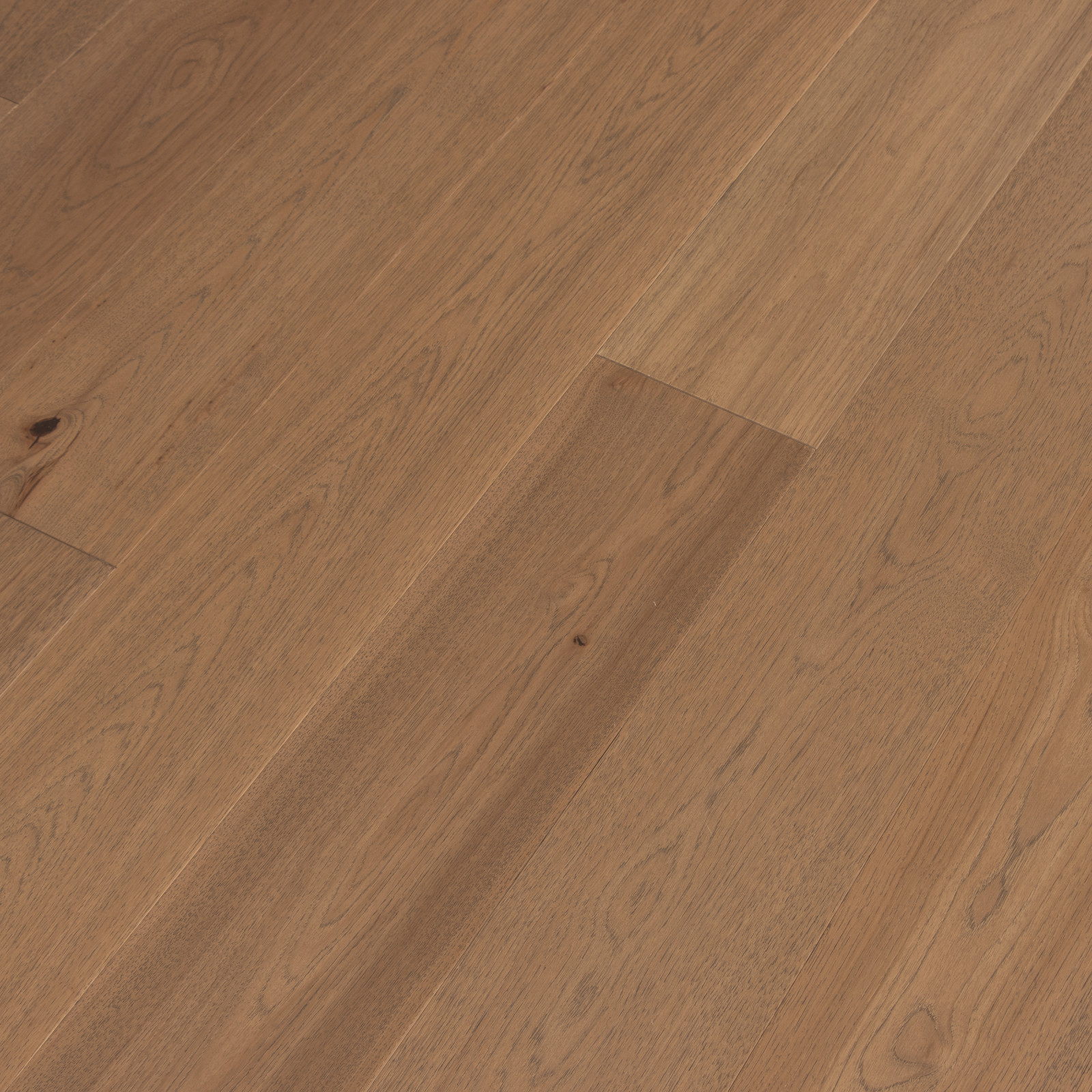 Shaded Hickory
