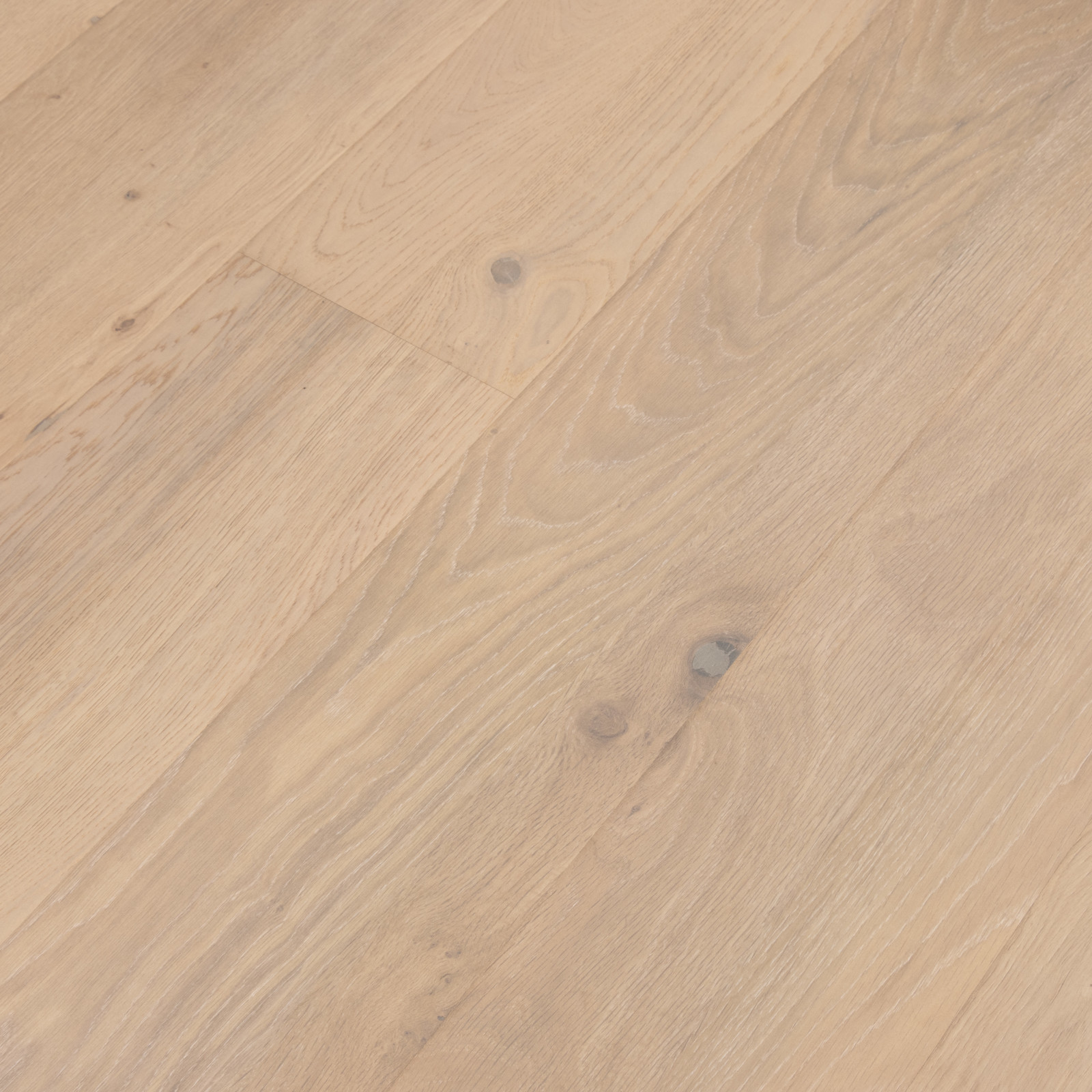 Half Moon Oak