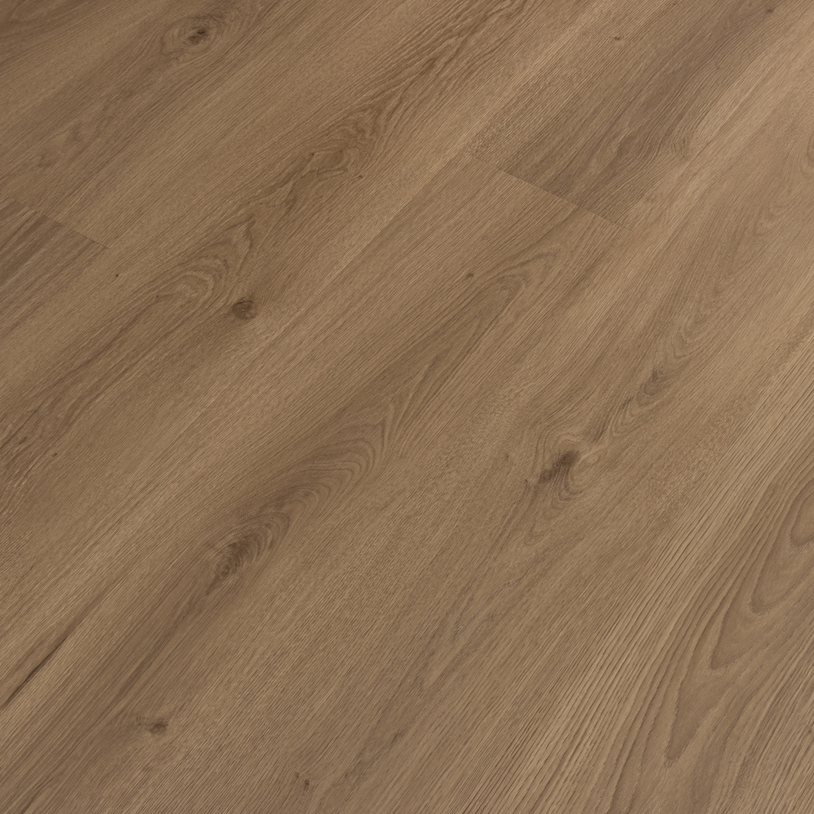 Sandalwood Surge