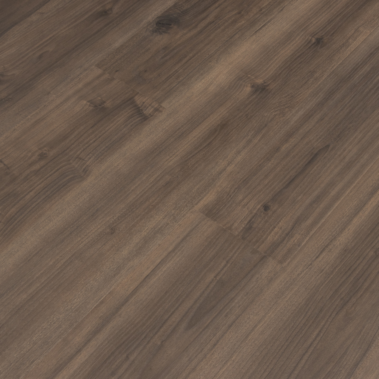 Beau Bark