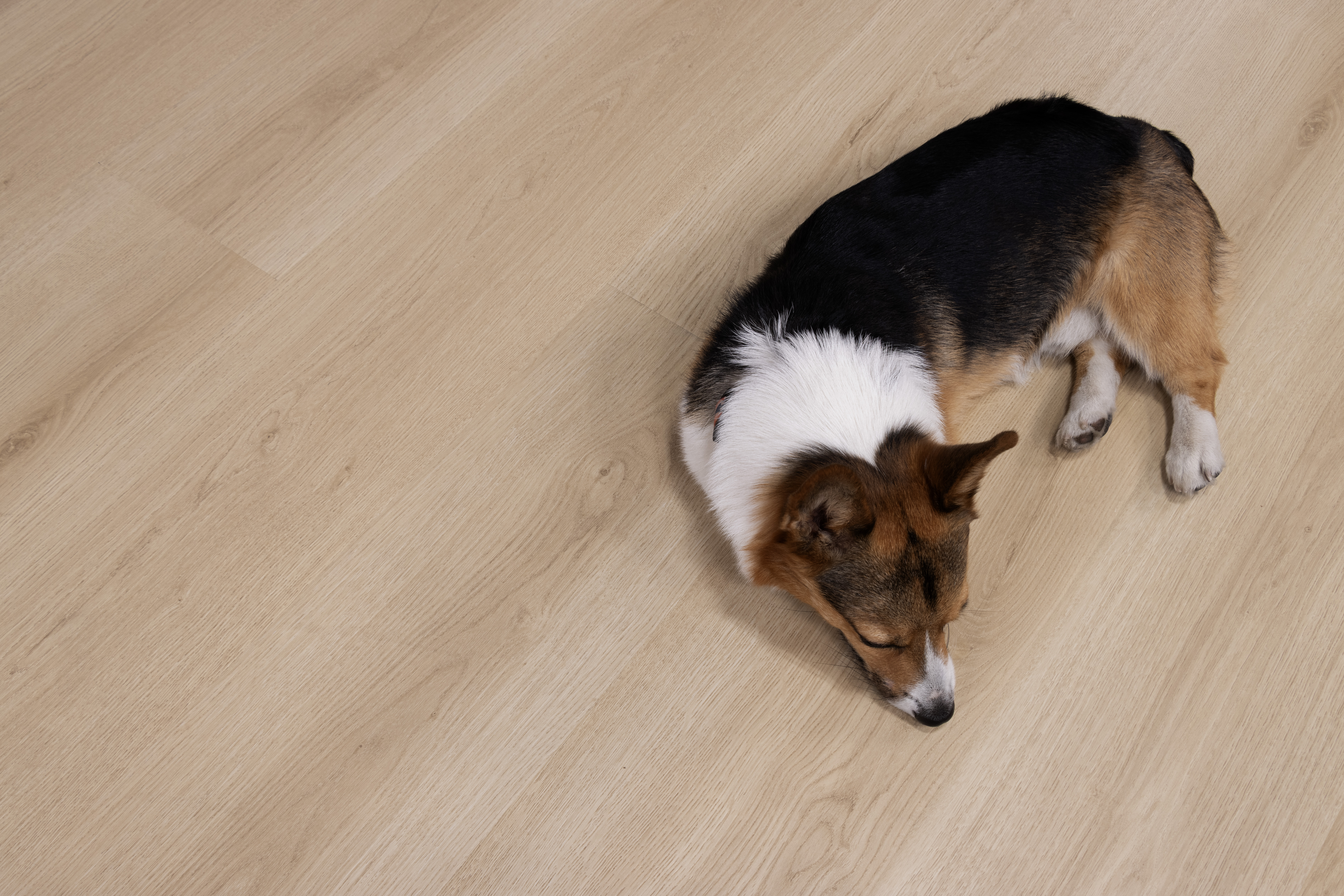 Laminate's Comeback: Why Waterproof Luxury Laminate Is Outselling Basic LVP