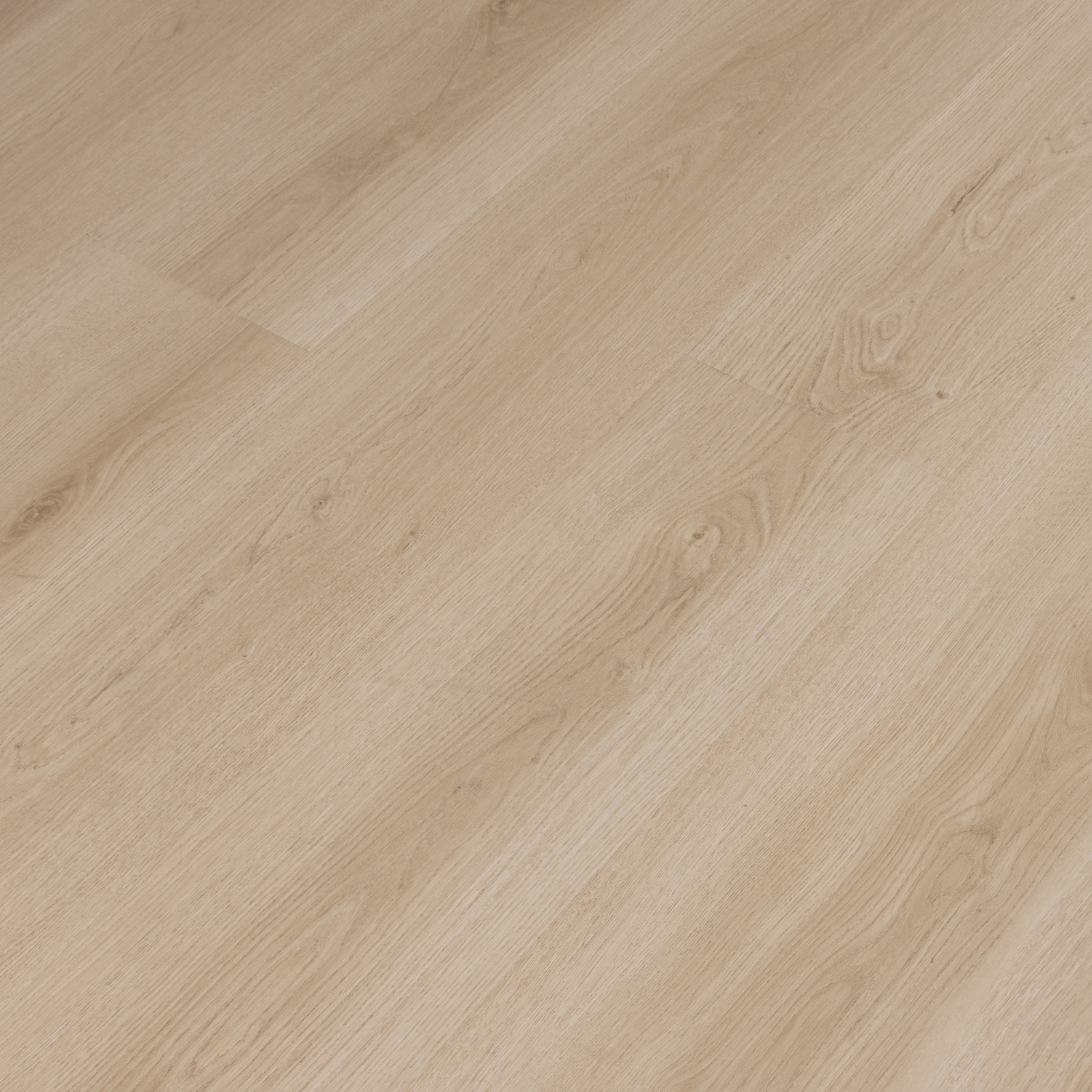 Rockaway Oak