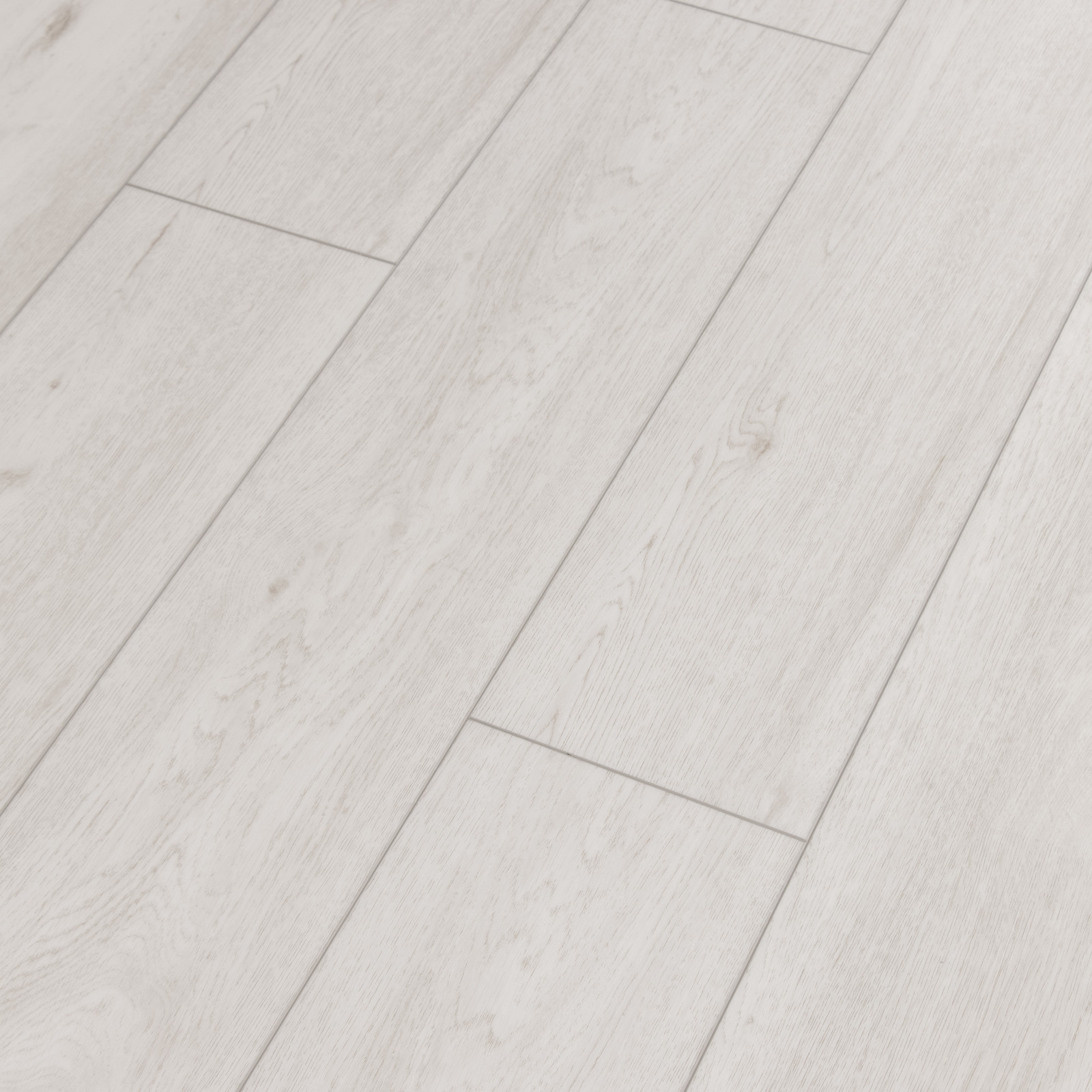 Saltwater Oak