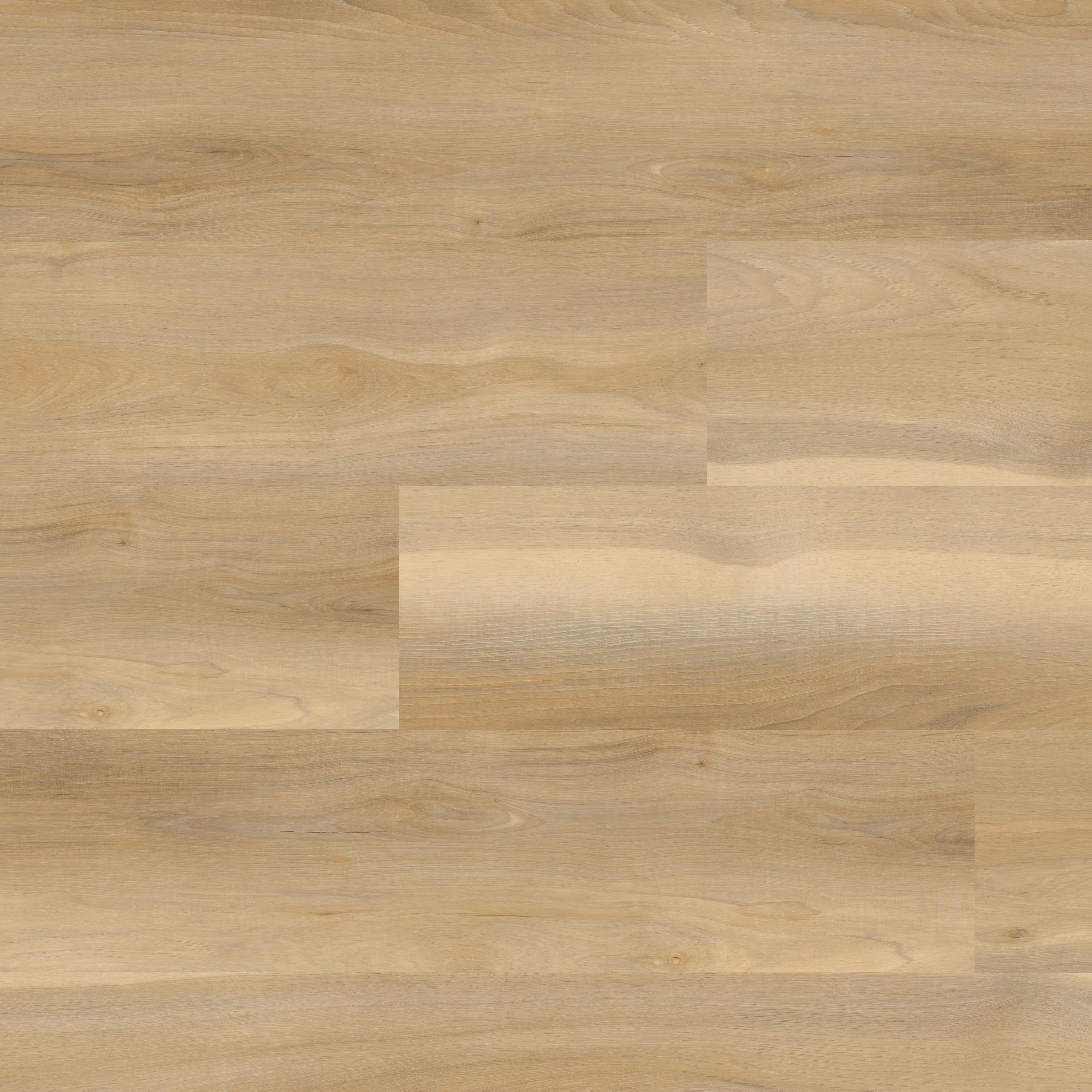MSI Everlife Bayhill Blonde Nove Reserve Glue Down Luxury Vinyl