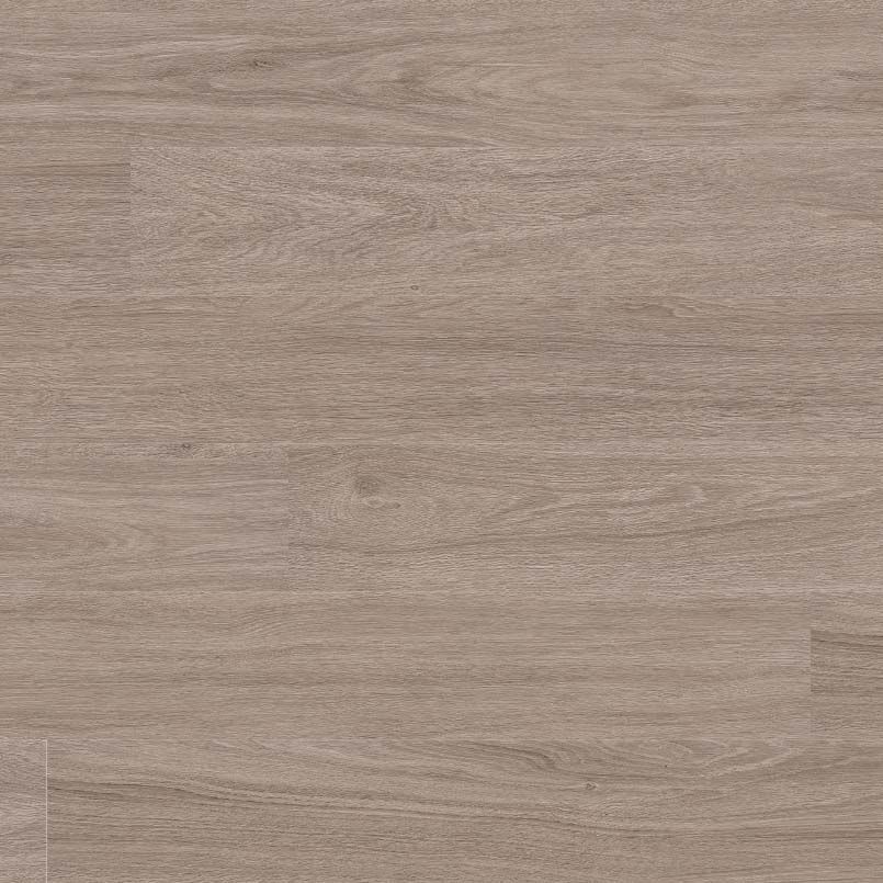 Bleached Elm