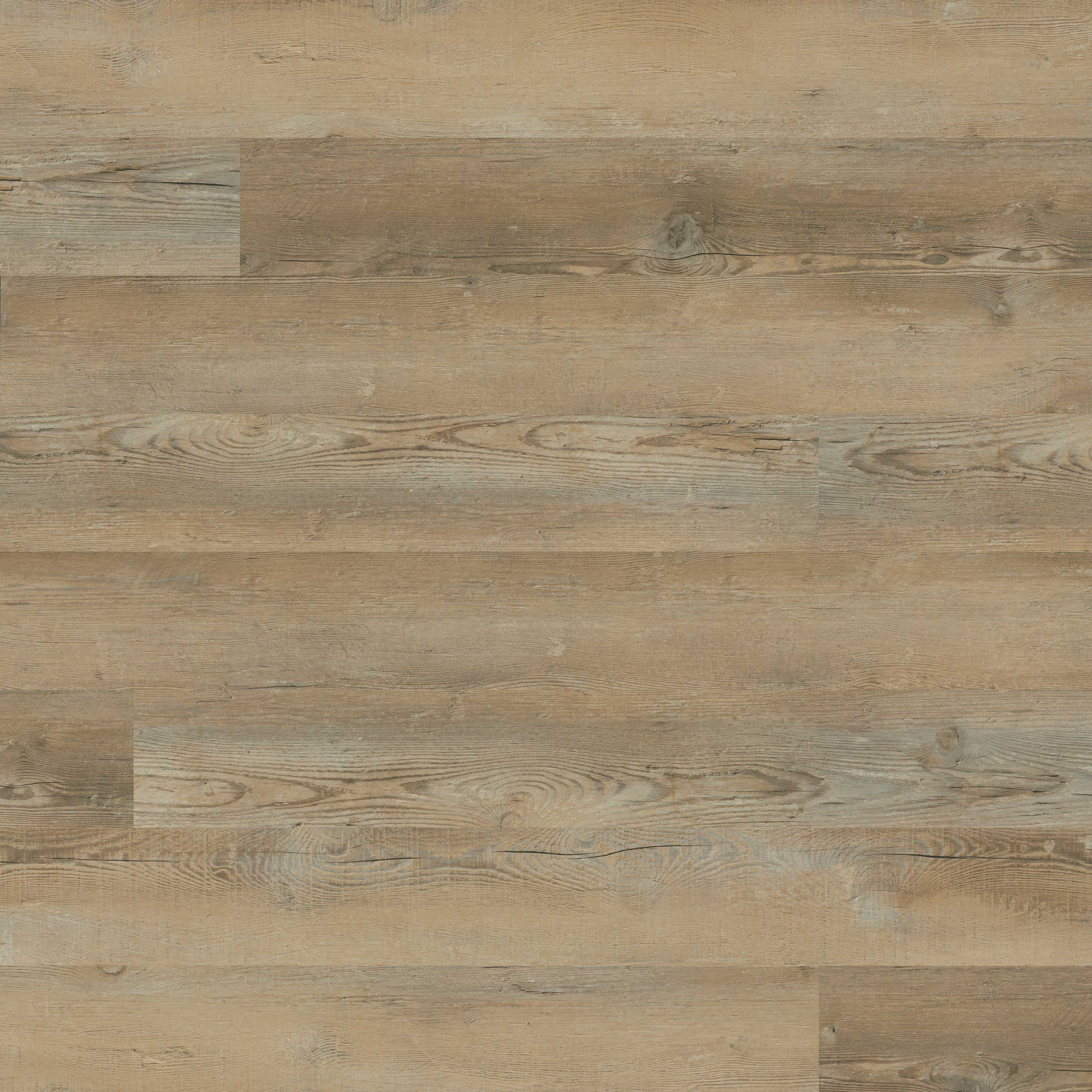 MSI Everlife Lime Washed Oak Katavia Glue Down Luxury Vinyl